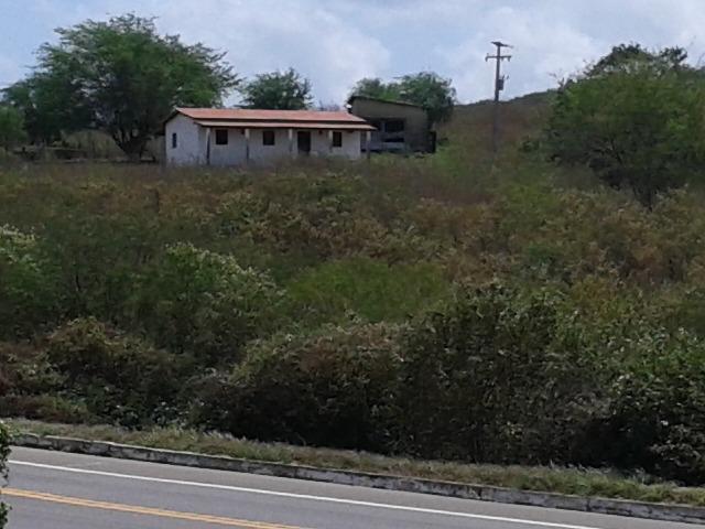 Fazenda com 62 há na br 304, com rio potengi, casa, deposito - Foto 8