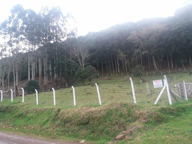 2.7 ha. linda chacara a apenas 7.5 km do centro de farroupilha