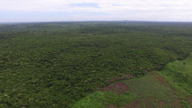 Fazenda em Piracuruca-PI - Foto 7