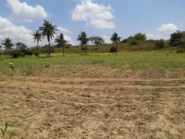 Fazenda com 62 há na br 304, com rio potengi, casa, deposito - Foto 13