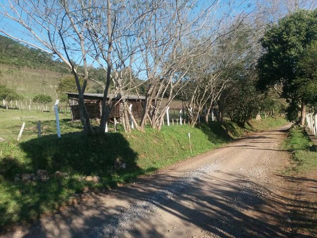 2.7 ha. linda chacara a apenas 7.5 km do centro de farroupilha - Foto 6