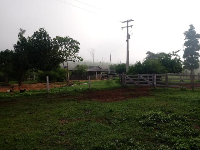 Vendo Fazenda em Novo Prigresso/PA - Foto 5