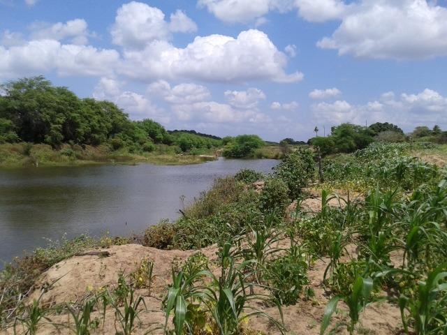 Fazenda com 62 há na br 304, com rio potengi, casa, deposito - Foto 14
