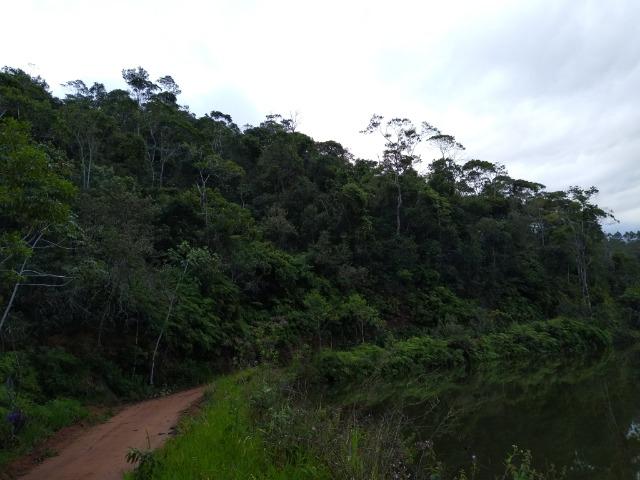 Fazenda Viana 20 alqueires - Foto 6