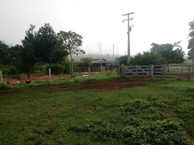 Vendo Fazenda em Novo Prigresso/PA - Foto 11