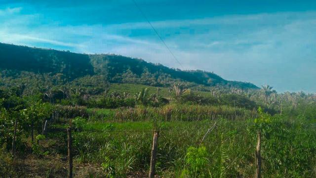 Vendo Fazenda de 122 hectares com psicultura - Foto 4