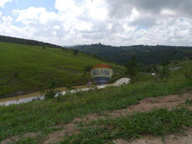 Fazenda com 4 dormitórios à venda, 800000 m² - zona rural - gravatá/pe - Foto 15