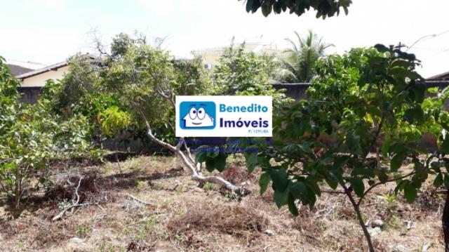 VENDO TERRENO EM PORTO SEGURO, LITORAL BAIANO - Foto 8