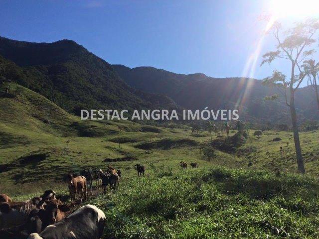Fazenda na Serra D?água em Angra- 65 Alqueires - Foto 4