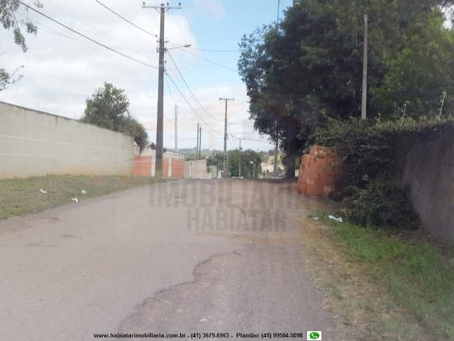 Barracão Comercial para Locação, Campina Grande do Sul / PR - Foto 11