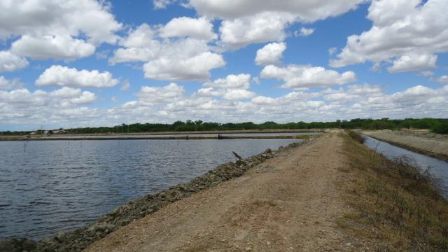 Vendo Fazenda para Produção de Camarão e Peixe - Foto 11