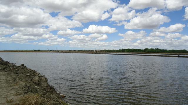 Vendo Fazenda para Produção de Camarão e Peixe - Foto 8