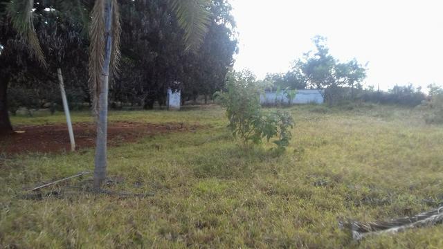 Água Lindas - GO - Foto 5