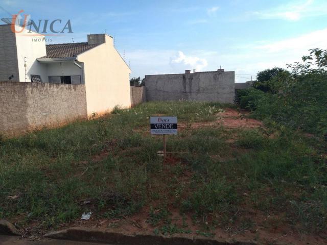 Terreno à venda, 227 m² por R$ 60.000 - Distrito Sumaré - Paranavaí/Paraná - Foto 3