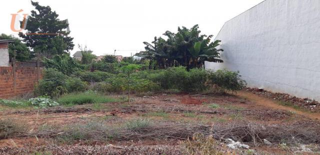 Terreno à venda com ótima localização, 600 m² por R$ 165.000 - Jardim Santos Dumont - Para - Foto 3