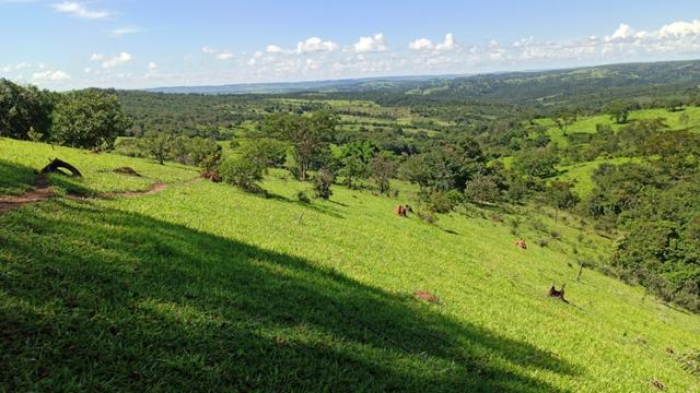 Chácara 2 Alqueires Formada 9 Km Asfalto Corumbá Goiás - Foto 10