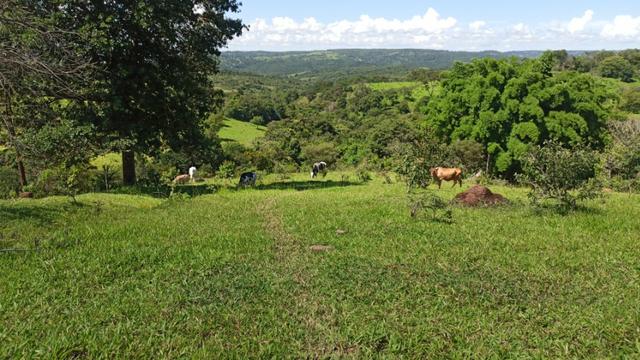 Chácara 2 Alqueires Formada 9 Km Asfalto Corumbá Goiás - Foto 14