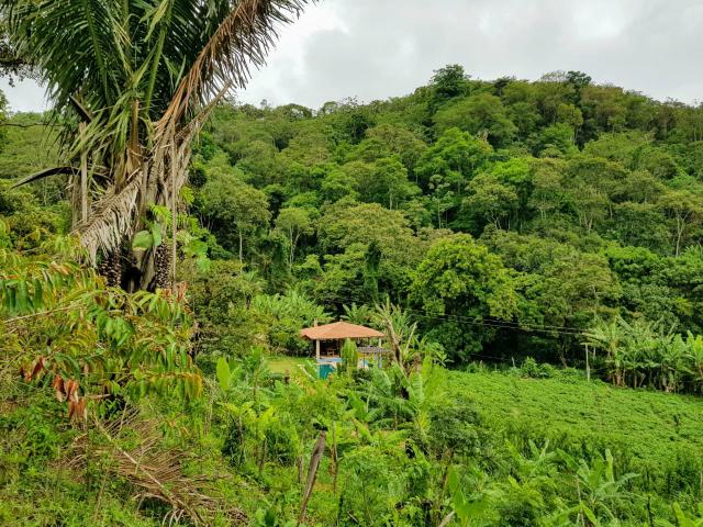 Casa Verde Mulungu #semana santa - Foto 13