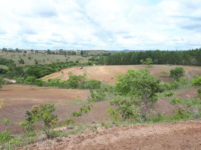 Excelente fazenda em Presidente Olegário/MG- oportunidade - Foto 14