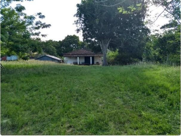 Fazenda à venda, 4190000 m² por R$ 5.600.000,00 - Cidade Nova - Ilhéus/BA - Foto 7