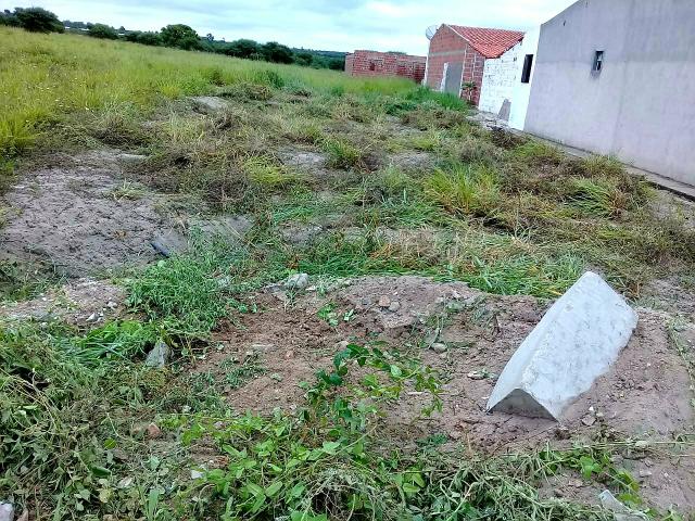 Terreno quitado