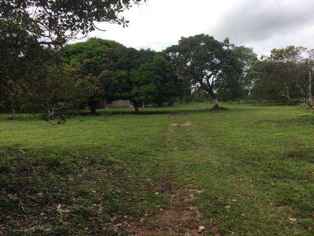 Chácara à venda em Zona rural, Cuiaba cod:21135 - Foto 13