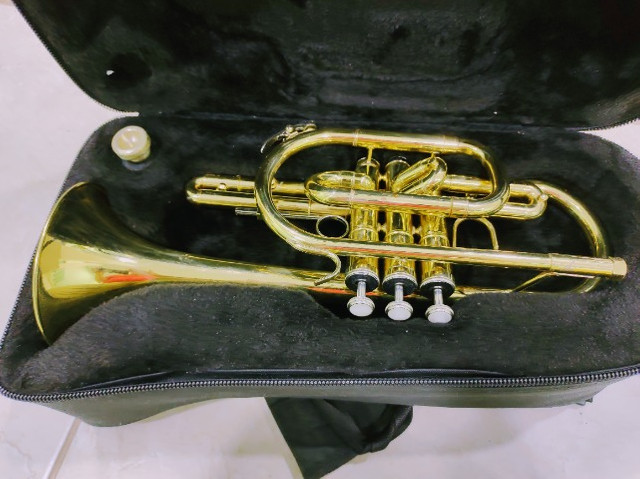 Trompete Cornet Laqueado Si Bemol Harmonics - Foto 3