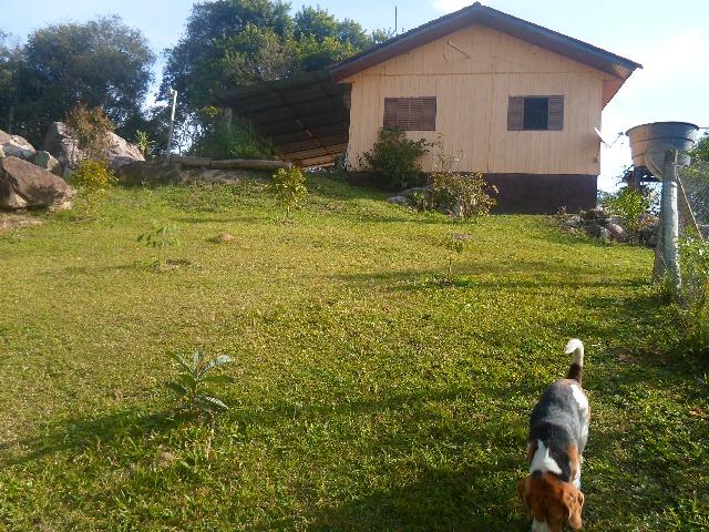 Chácara 32247 m², bem cuidada - Foto 4