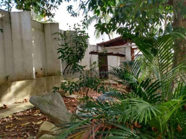 Sítio com 1.600 m2 total com árvores frutíferas - Foto 8