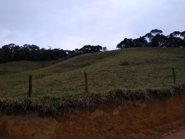 Fazenda Viana 20 alqueires - Foto 10