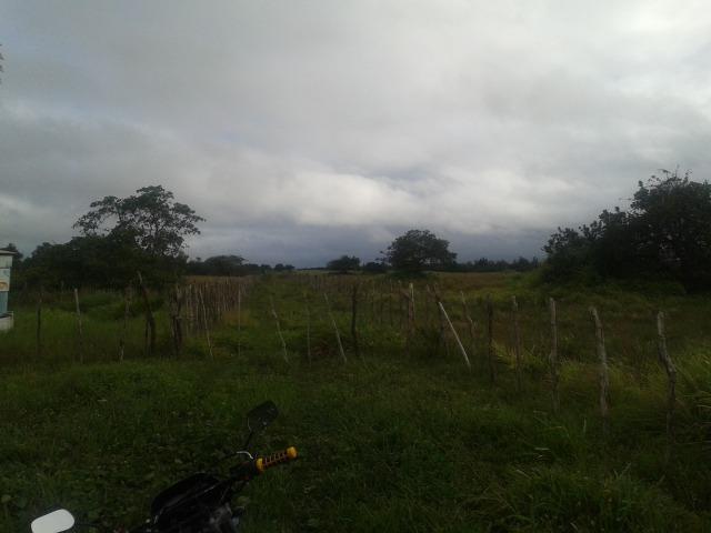 Fazenda com 110 há a 20 km de macaíba, 4 casas, 3 poços, riacho, barreiro - Foto 18