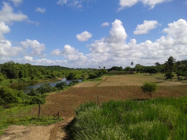 Fazenda com 62 há na br 304, com rio potengi, casa, deposito - Foto 10