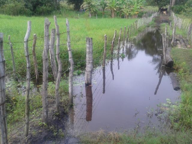 Fazenda com 110 há a 20 km de macaíba, 4 casas, 3 poços, riacho, barreiro - Foto 8
