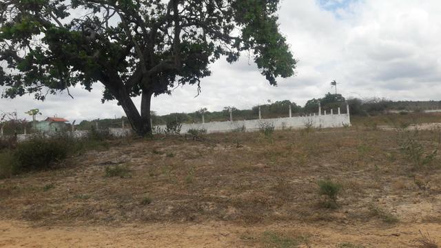 Lote de chacara 30x20 - Foto 4