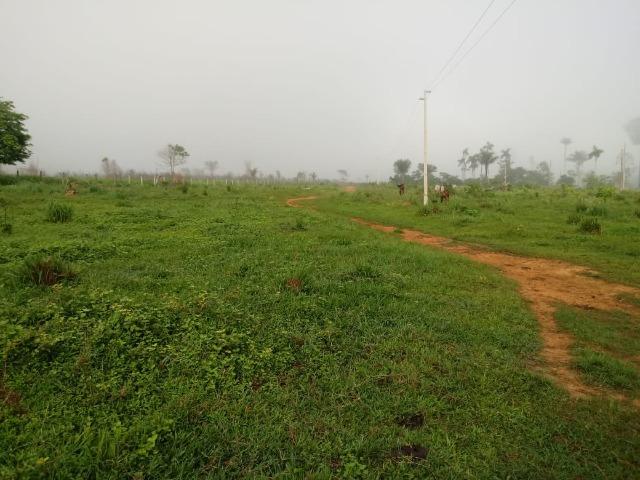 Vendo Fazenda em Novo Prigresso/PA - Foto 3