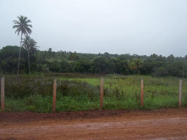 Fazenda com 110 há a 20 km de macaíba, 4 casas, 3 poços, riacho, barreiro - Foto 6