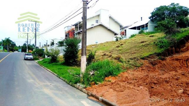Terreno, Protásio Alves, Porto Alegre-RS - Foto 7