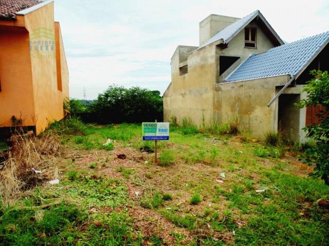 Terreno, Protásio Alves, Porto Alegre-RS - Foto 3