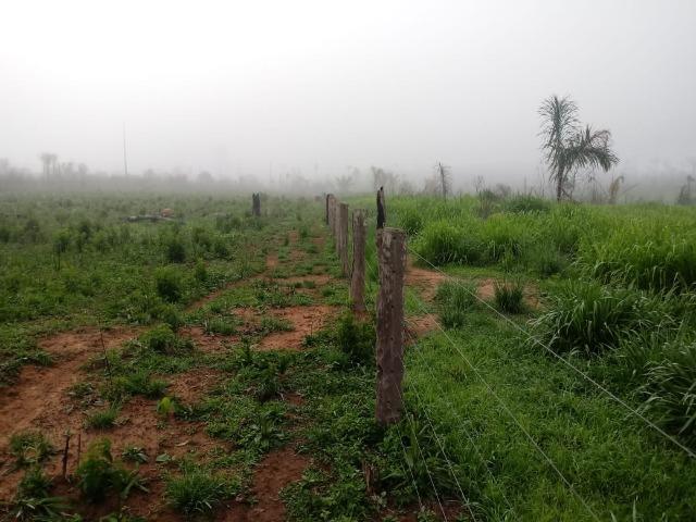 Vendo Fazenda em Novo Prigresso/PA - Foto 6