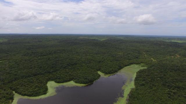 Fazenda em Piracuruca-PI - Foto 5
