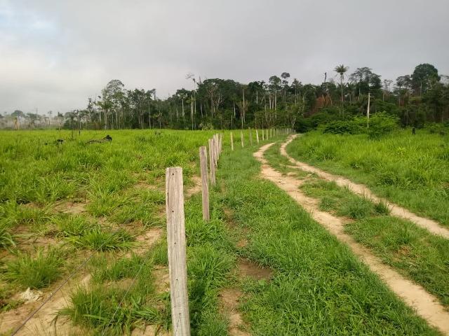 Vendo Fazenda em Novo Prigresso/PA - Foto 14