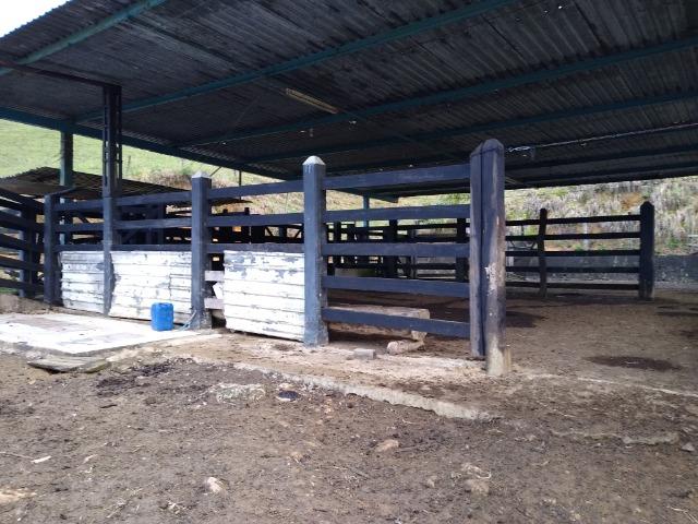 Fazenda Viana 20 alqueires - Foto 17