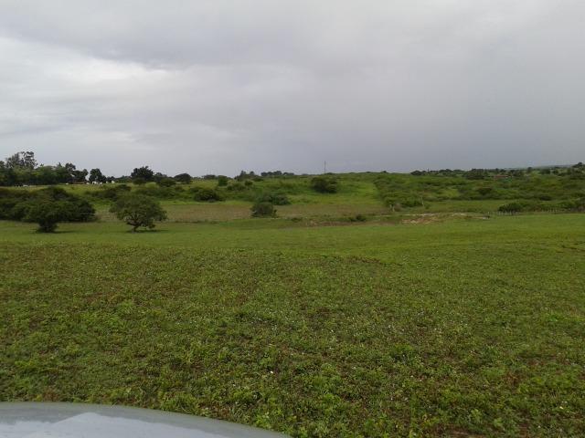 Fazenda com 63 há em brejinho, 10 barreiros, curral - Foto 8