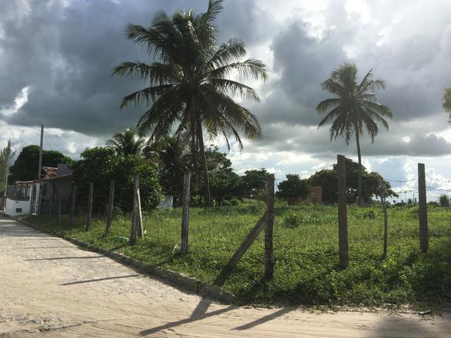 Vende se terreno em Monte alegre - Foto 5