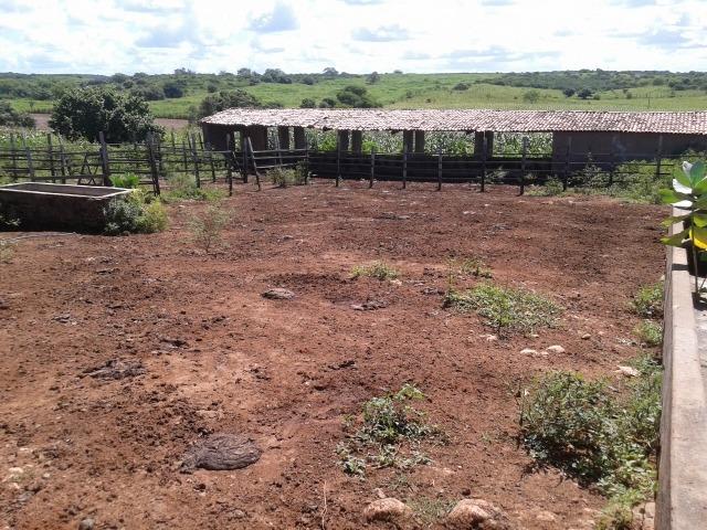 Fazenda com 38 há em são pedro do potengi, casa, curral, barreiro, rio potengi - Foto 3