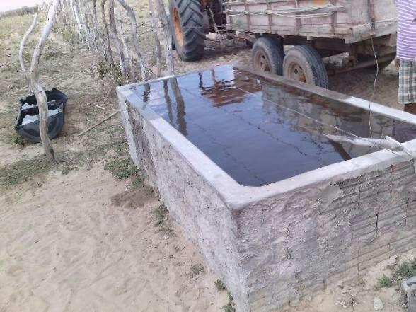 Terra no Sítio Lagoa Redonda Zona Rural de São Pedro RN What * - Foto 6