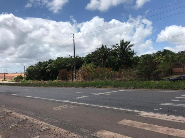 Terreno Vila Maranhão - Foto 5