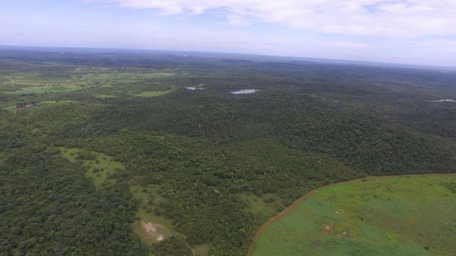 Fazenda em Piracuruca-PI - Foto 12