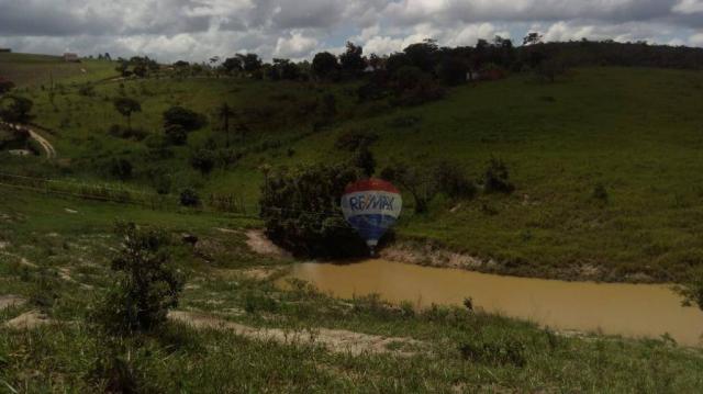 Fazenda com 4 dormitórios à venda, 800000 m² - zona rural - gravatá/pe - Foto 28