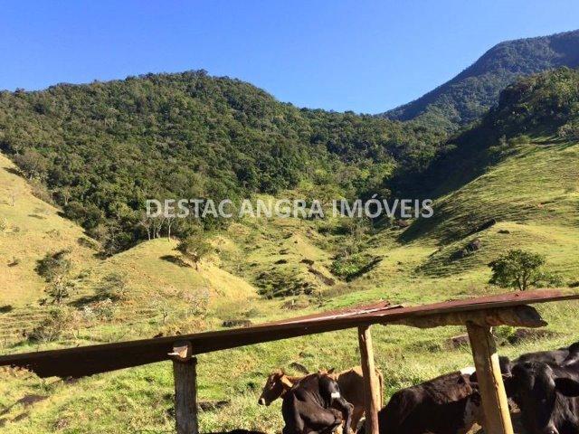 Fazenda na Serra D?água em Angra- 65 Alqueires - Foto 3